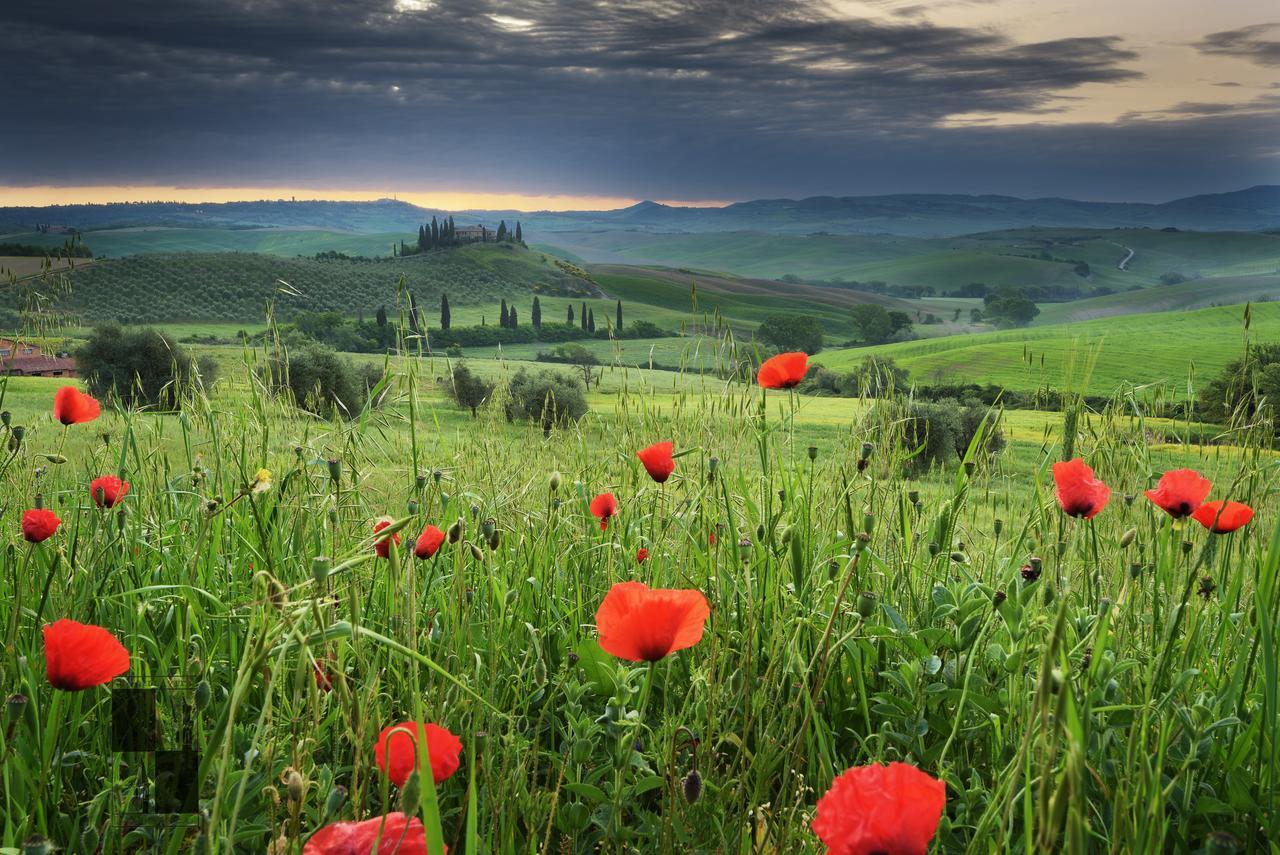La Bellavita B&B Pienza Exteriör bild