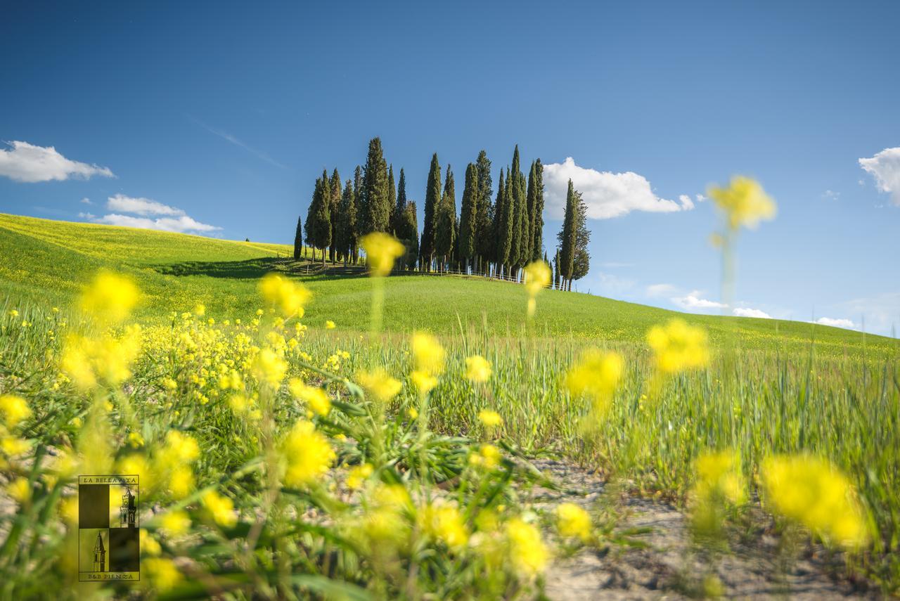 La Bellavita B&B Pienza Exteriör bild